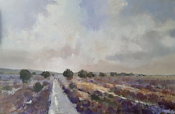 Framed oil on canvas |Image 51x76 cms.  Framed 65x90 cms EXHIBITED AT THE GALLERY AT 41 CORFE CASTLE DURING DORSET ART WEEKS 2021 |Across Coombe Heath, Arne, Dorset | © Copyright 2022 Roger Dell Seddon